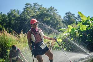 BIB: 
                            <button type="button" onclick="openModal(19337937)" class="btn btn-primary btn-sm float-right btn-popup" data-toggle="modal" data-target=".modal-high-quality">
                        <i class="fas fa-shopping-cart"></i> Add to Cart
                    </button>
                                            <button type="button" onclick="isThisMe(19337937, true)" class="btn btn-success btn-sm float-right btn-popup btn-isme hidden" data-toggle="tooltip" data-placement="bottom" title="นี่คือรูปของคุณใช่ไหม คลิกที่นี่เพื่อเอาเข้าอัลบั้ม">
                        <i class="fas fa-plus"></i> Add to album
                    </button>
                    <button type="button" onclick="isThisMe(19337937, false)" class="btn btn-warning btn-sm float-right btn-popup btn-isnotme hidden">
                        <i class="fas fa-ban"></i> Remove from album
                    </button>